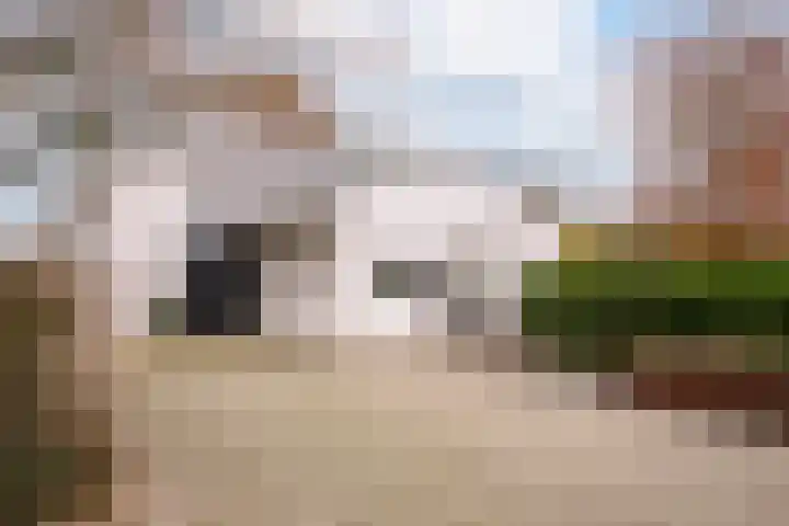 Magnolialaan 8 Oss thumbnail 36