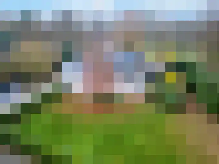Magnolialaan 8 Oss thumbnail 38