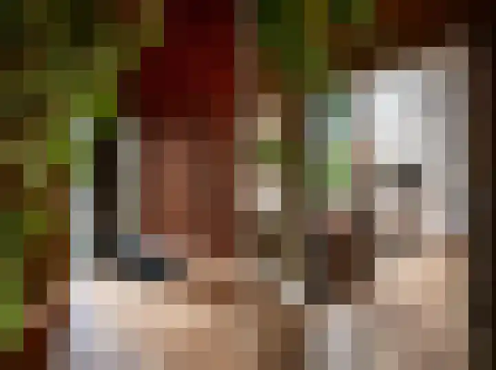 Magnolialaan 8 Oss thumbnail 6