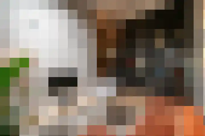 Magnolialaan 8 Oss thumbnail 8