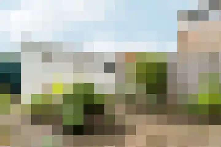 Magnolialaan 86 Doesburg thumbnail 28