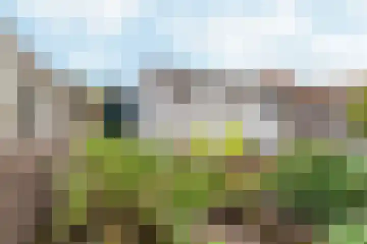 Magnolialaan 86 Doesburg thumbnail 29