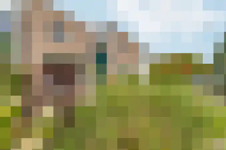 Magnolialaan 86 Doesburg thumbnail 31
