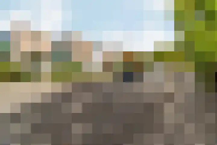 Magnolialaan 86 Doesburg thumbnail 32