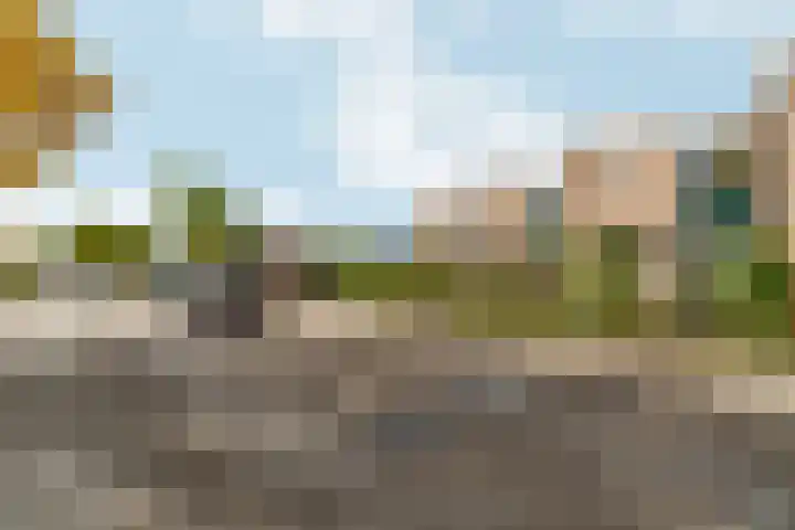 Magnolialaan 86 Doesburg thumbnail 33
