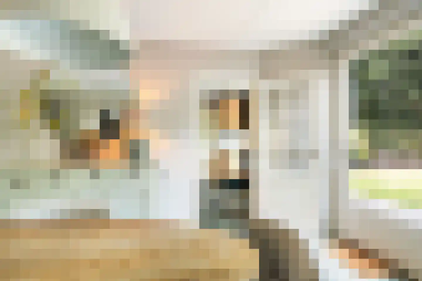 Magnolialaan 9 Ermelo thumbnail 26