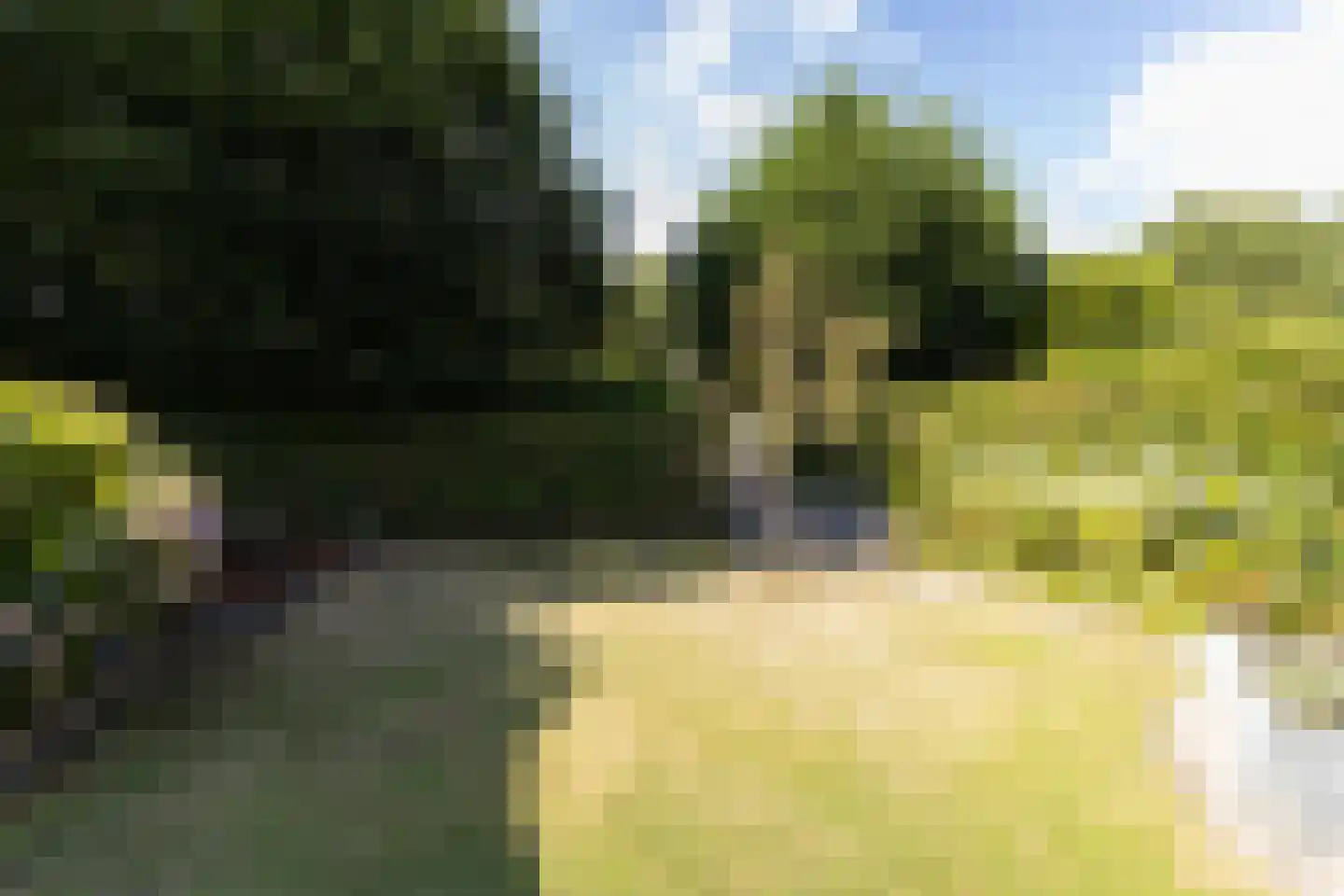 Magnolialaan 9 Ermelo thumbnail 78