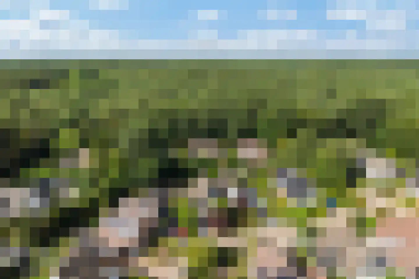 Magnolialaan 9 Ermelo thumbnail 8