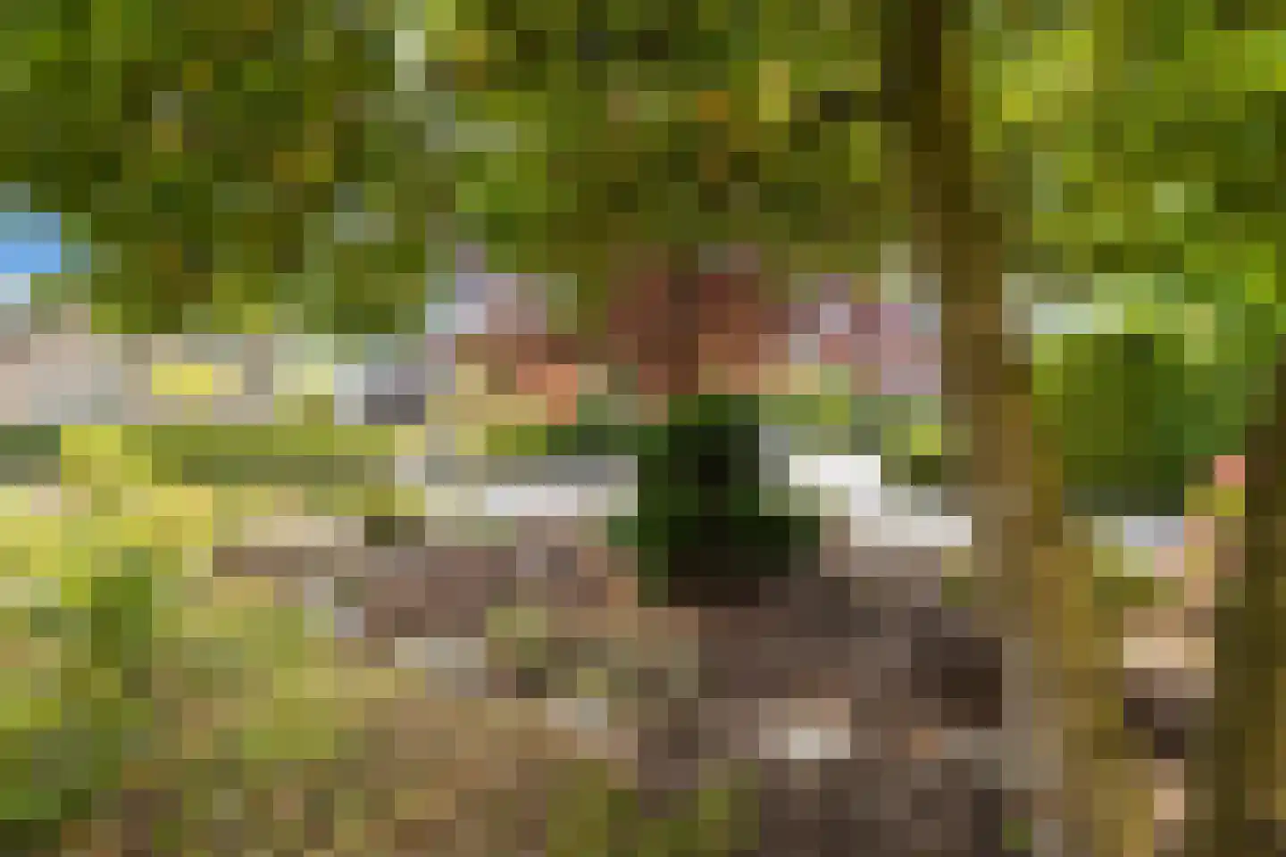 Magnolialaan 9 Ermelo thumbnail 88