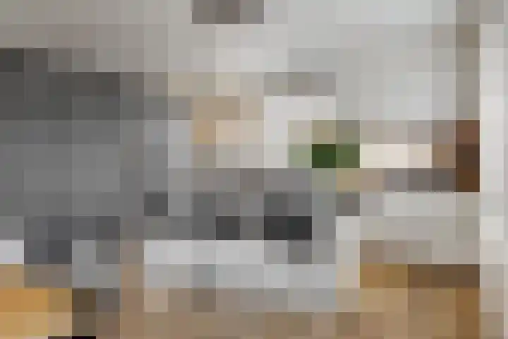 Magnolialint 23 Limmen thumbnail 20