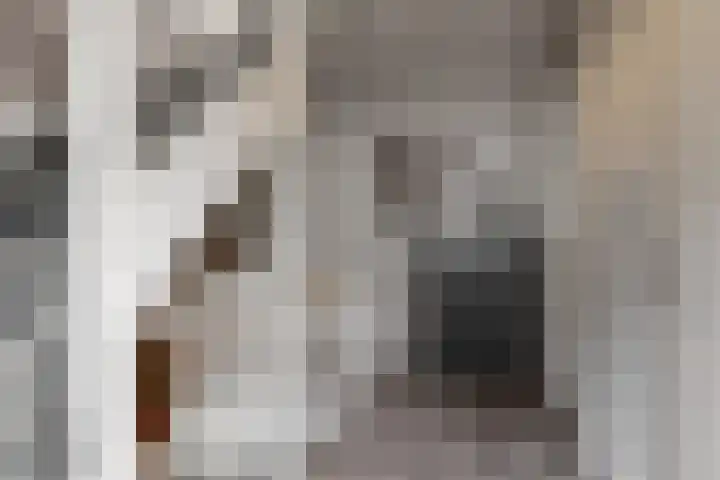 Magnolialint 23 Limmen thumbnail 26