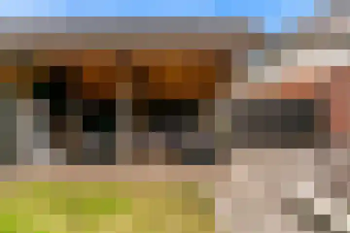 Magnolialint 23 Limmen thumbnail 56