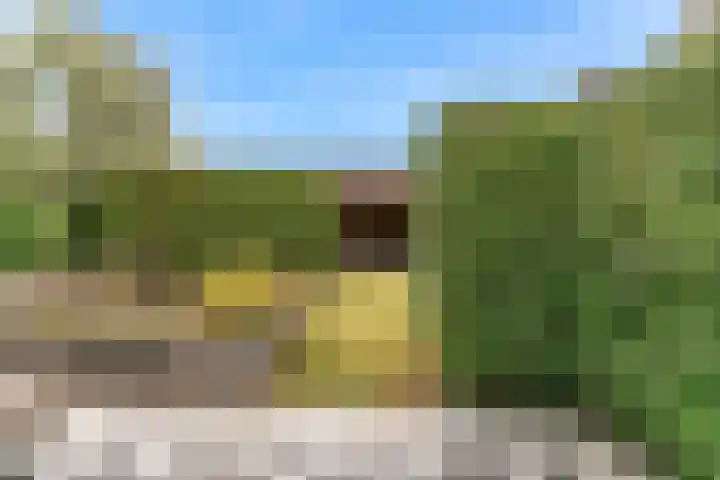 Magnolialint 23 Limmen thumbnail 61