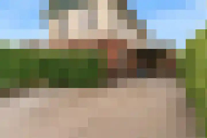 Magnolialint 23 Limmen thumbnail 67