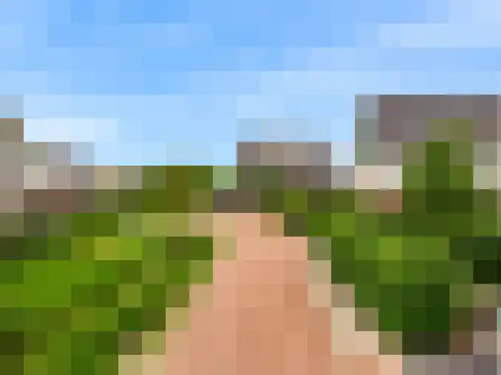 Magnolialint 23 Limmen thumbnail 69