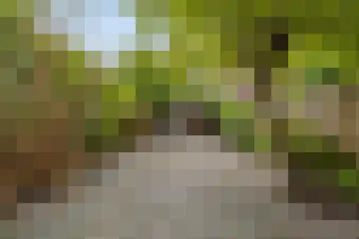 Magnoliapark 2 Zoetermeer thumbnail 17