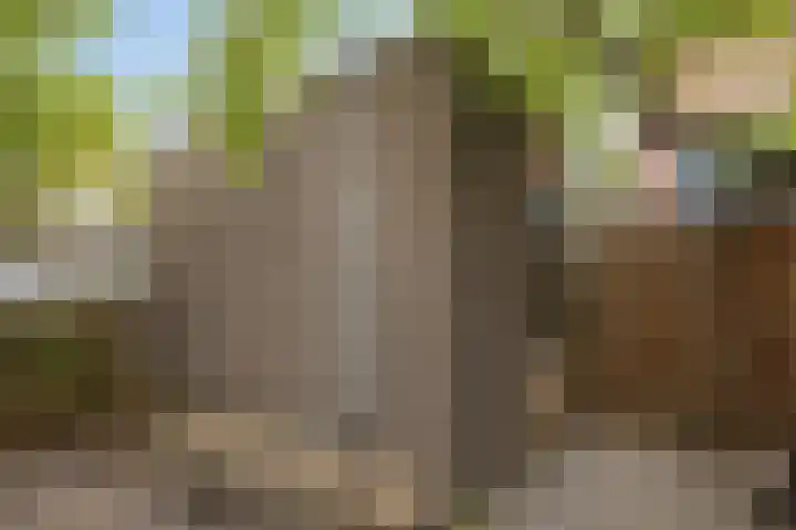 Magnoliapark 2 Zoetermeer thumbnail 18