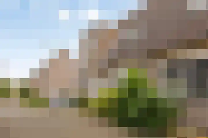 Magnoliapark 2 Zoetermeer thumbnail 37