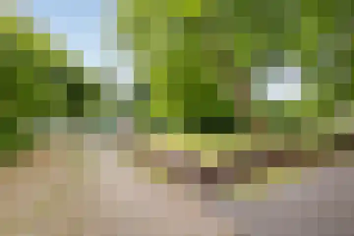 Magnoliapark 2 Zoetermeer thumbnail 38