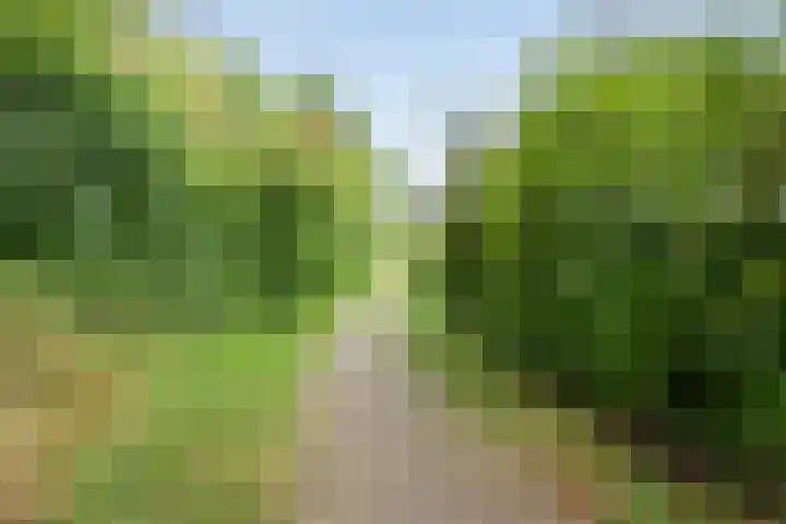 Magnoliapark 2 Zoetermeer thumbnail 39