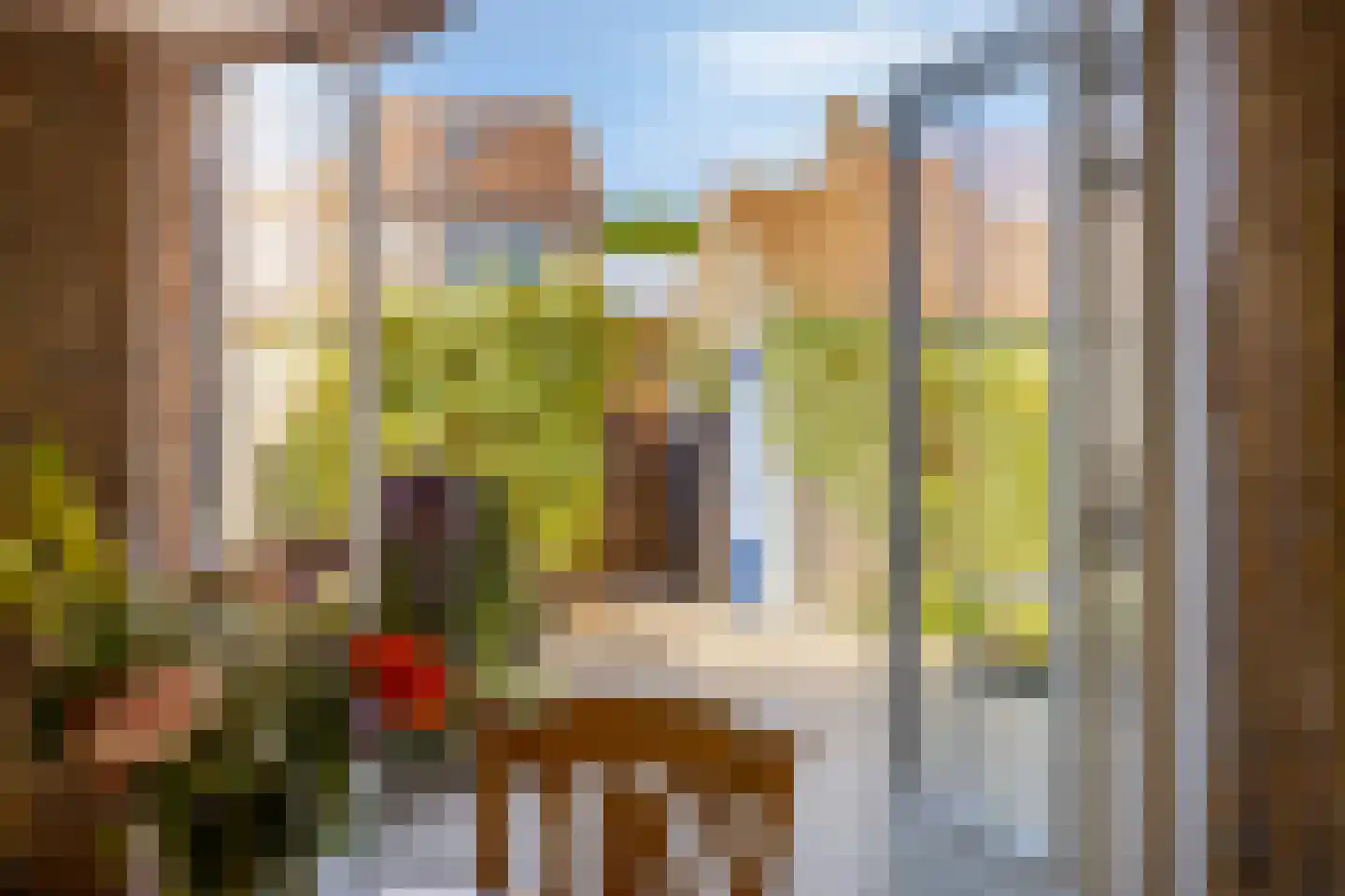 Magnoliaplein 15 IJsselmuiden thumbnail 14