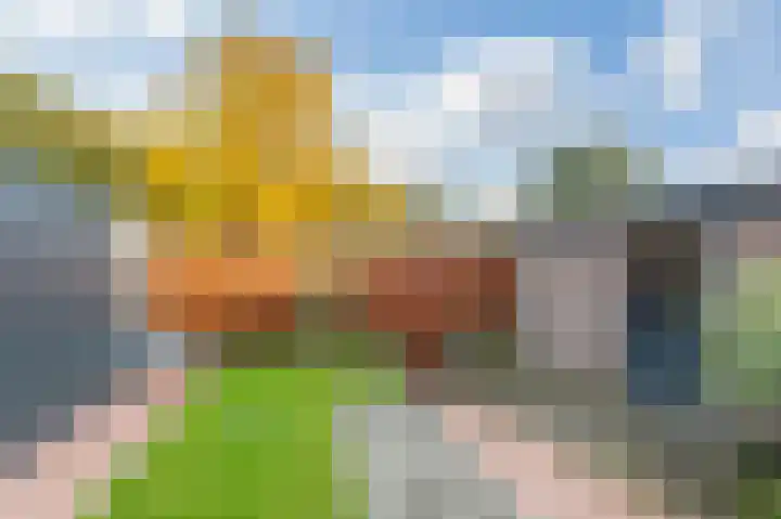 Magnoliaplein 8 Arnhem thumbnail 31
