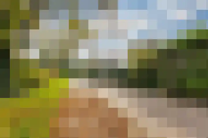 Magnoliaplein 8 Arnhem thumbnail 6