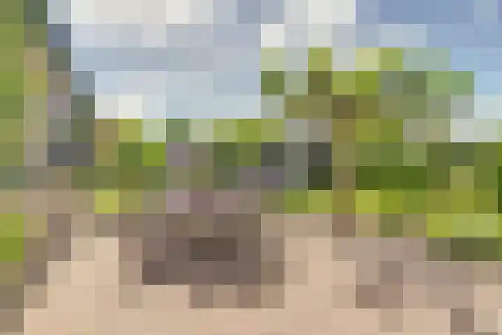 Magnoliastraat 129 's-Gravenpolder thumbnail 31