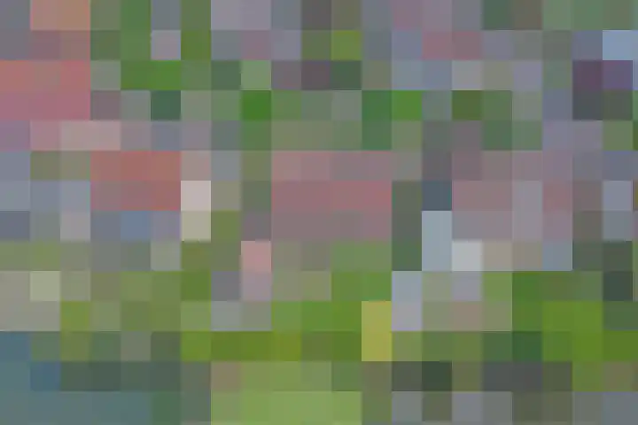 Magnoliastraat 129 's-Gravenpolder thumbnail 33