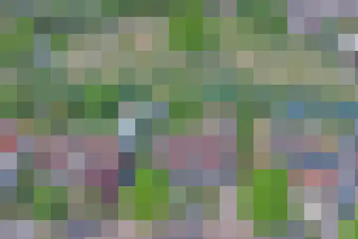 Magnoliastraat 129 's-Gravenpolder thumbnail 34