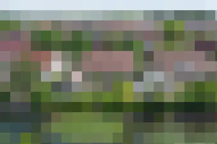 Magnoliastraat 129 's-Gravenpolder thumbnail 39