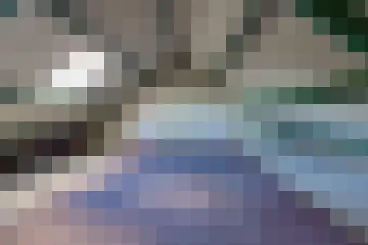 Magnoliastraat 13 Musselkanaal thumbnail 32