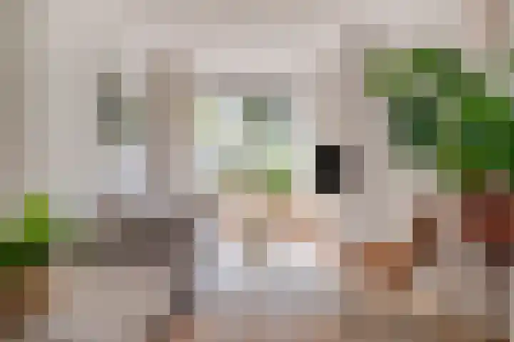 Magnoliastraat 14 in Breda