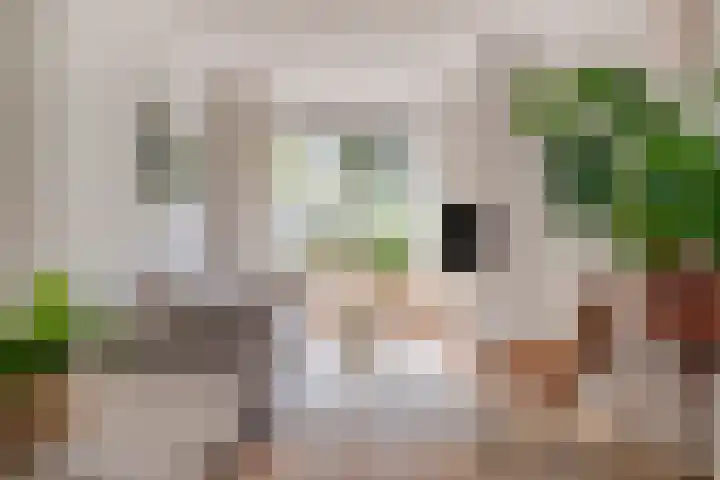 Magnoliastraat 14 Breda thumbnail 33