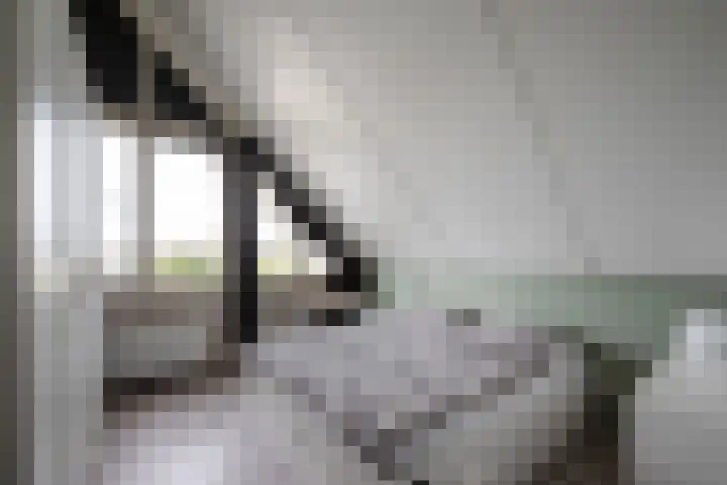 Magnoliastraat 15 Lisserbroek thumbnail 20