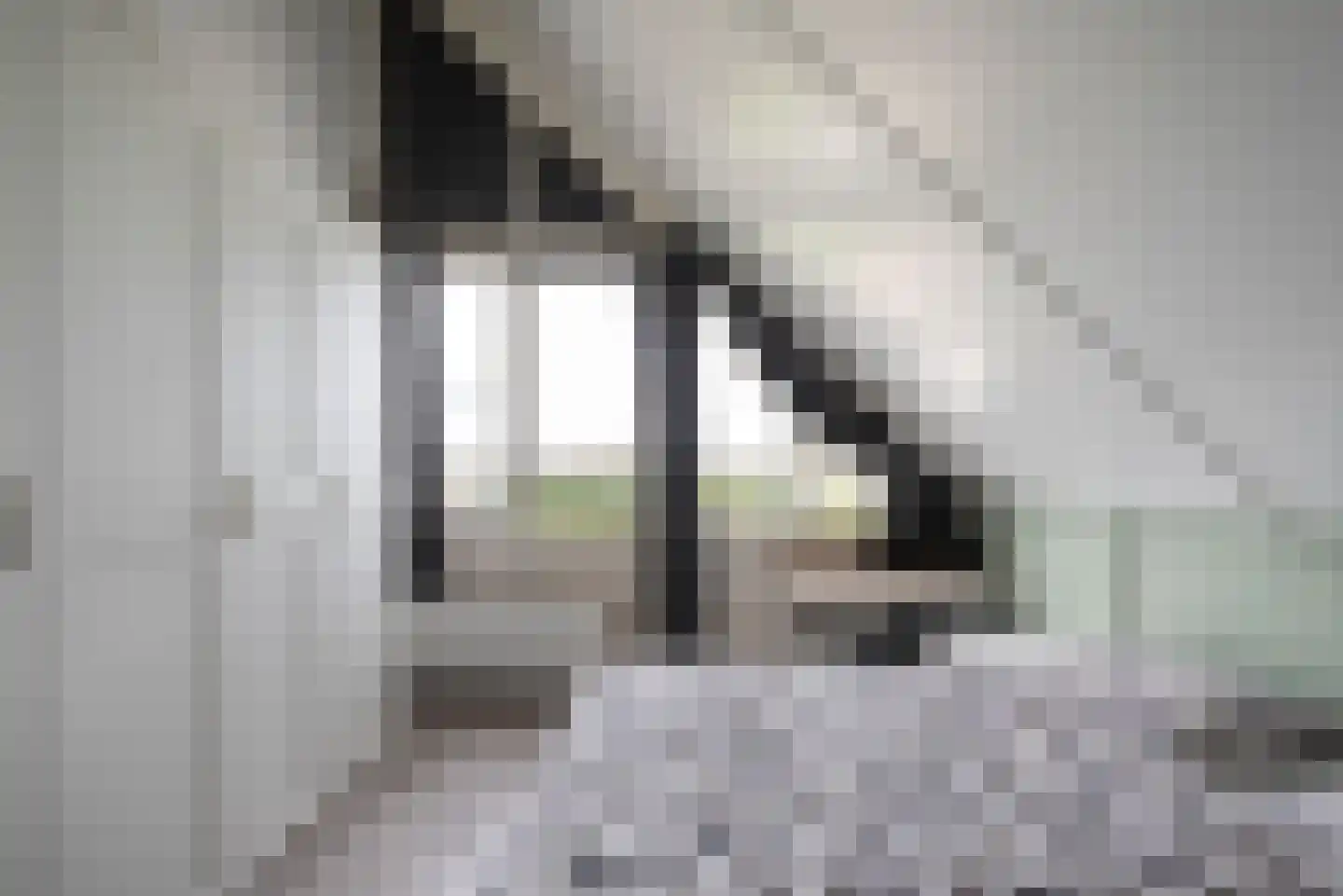 Magnoliastraat 15 Lisserbroek thumbnail 21