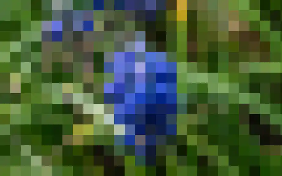 Magnoliastraat 15 Lisserbroek thumbnail 27