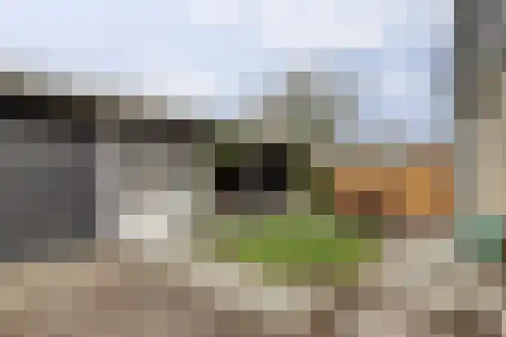 Magnoliastraat 186 's-Gravenpolder thumbnail 30