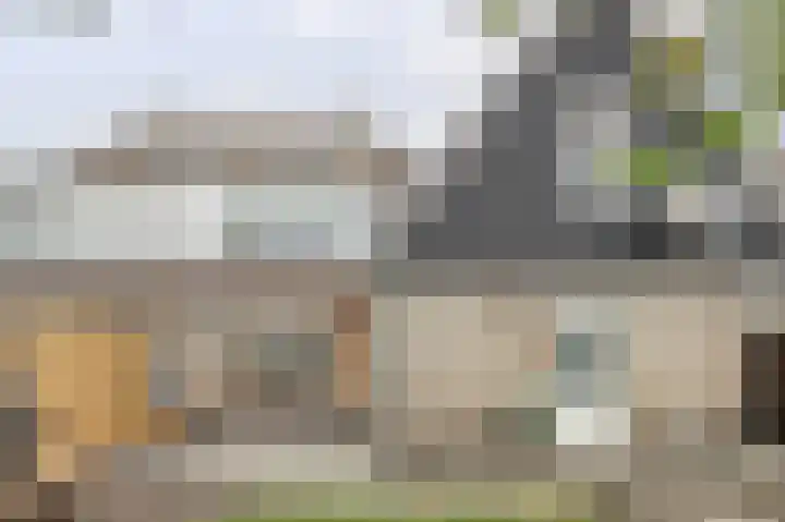 Magnoliastraat 186 's-Gravenpolder thumbnail 36