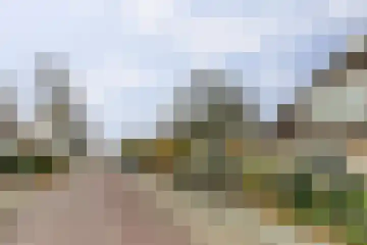 Magnoliastraat 186 's-Gravenpolder thumbnail 37