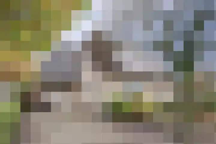 Magnoliastraat 186 's-Gravenpolder thumbnail 4