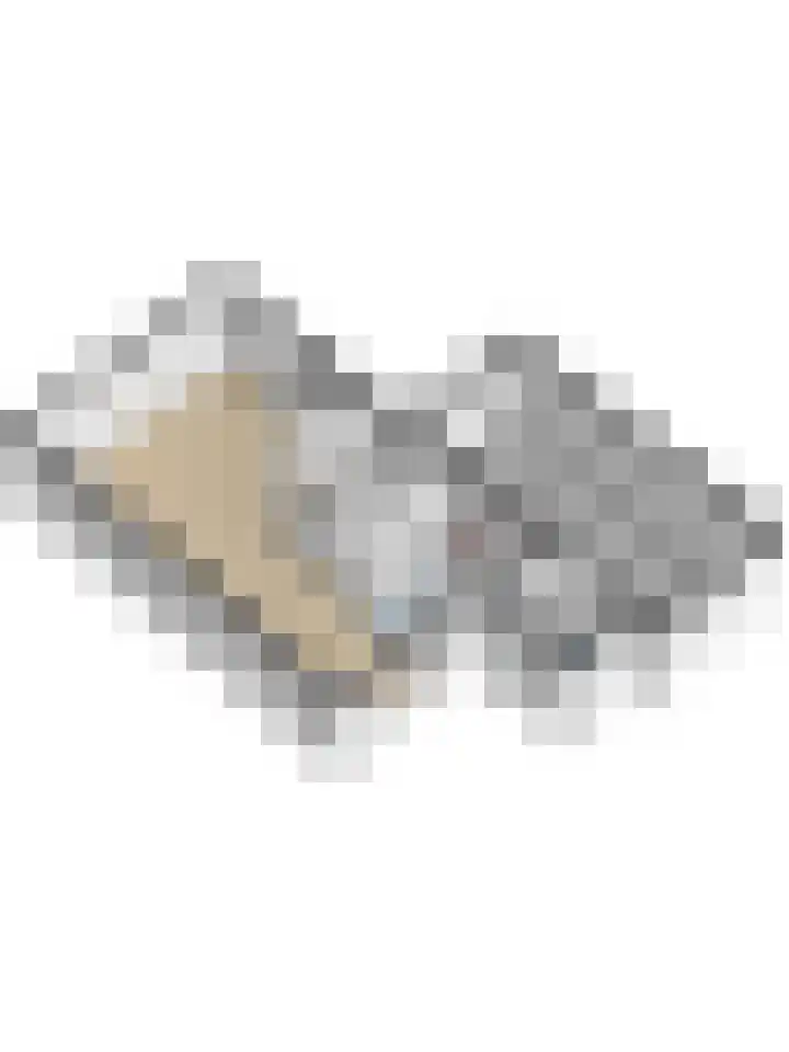 Magnoliastraat 186 's-Gravenpolder thumbnail 42