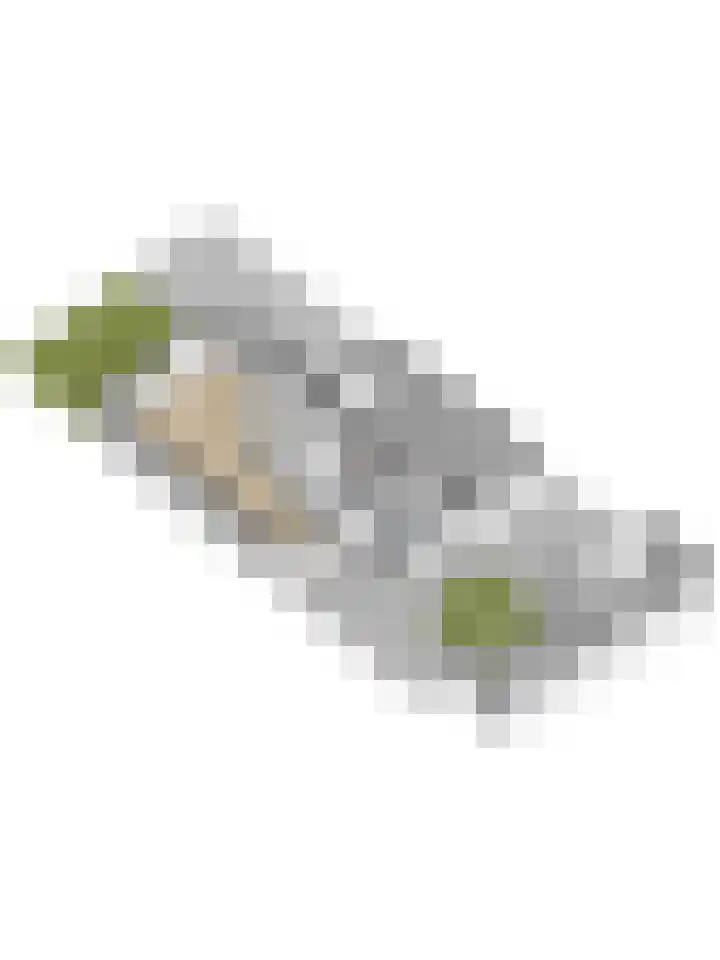 Magnoliastraat 186 's-Gravenpolder thumbnail 43