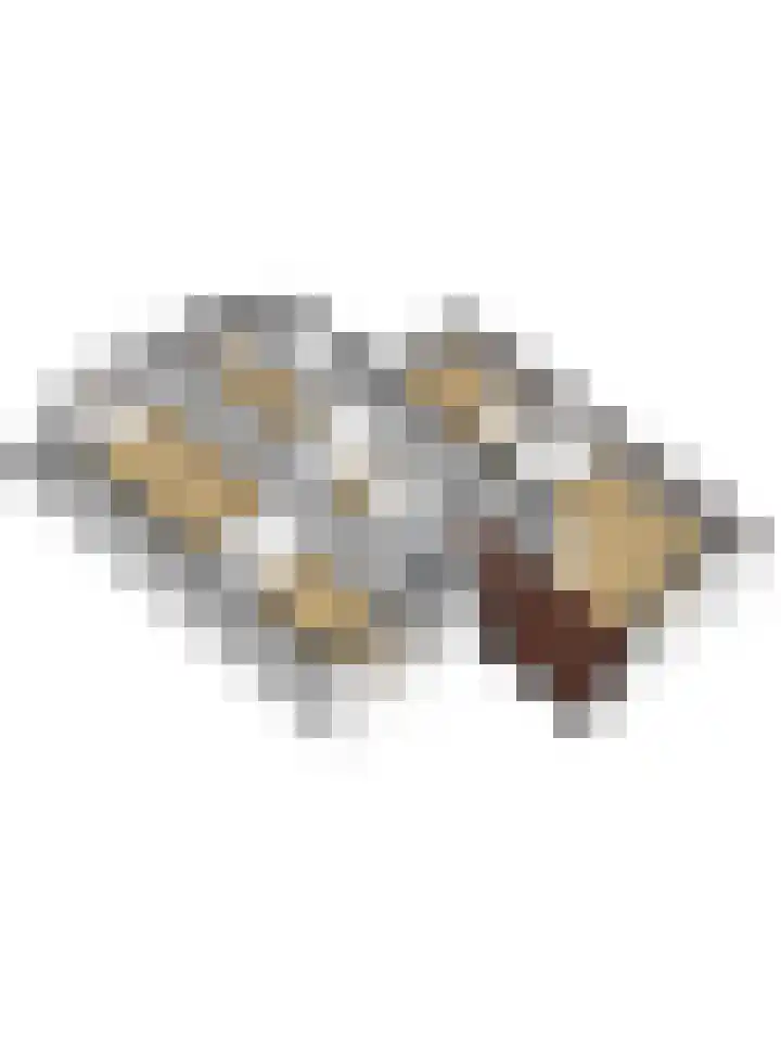 Magnoliastraat 186 's-Gravenpolder thumbnail 47