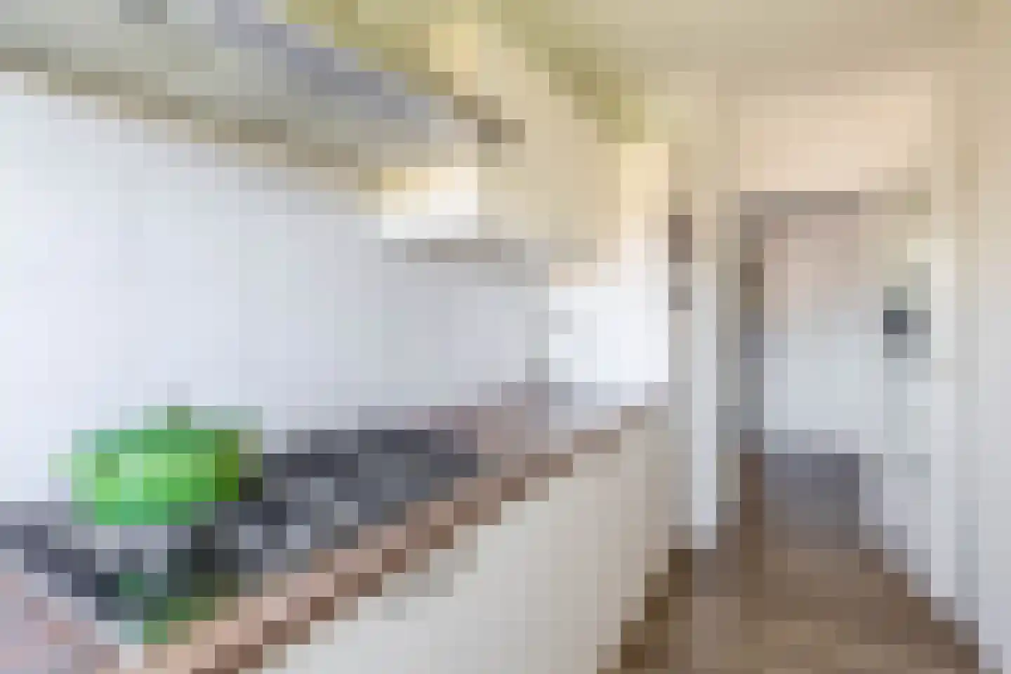 Magnoliastraat 21 B Spijkenisse thumbnail 21