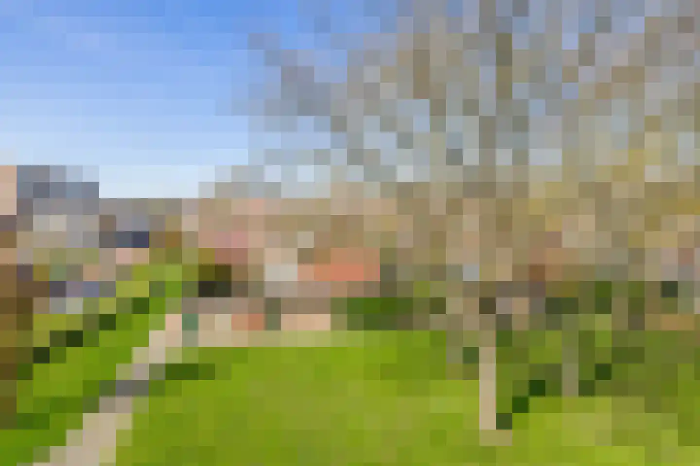 Magnoliastraat 21 B Spijkenisse thumbnail 27