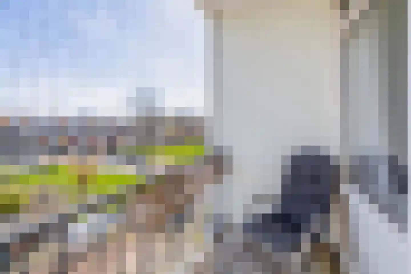 Magnoliastraat 21 B Spijkenisse thumbnail 32