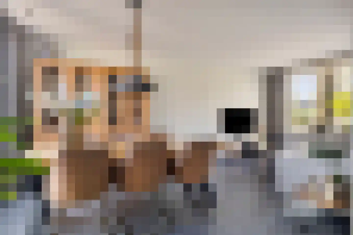 Magnoliastraat 22 Drunen thumbnail 13