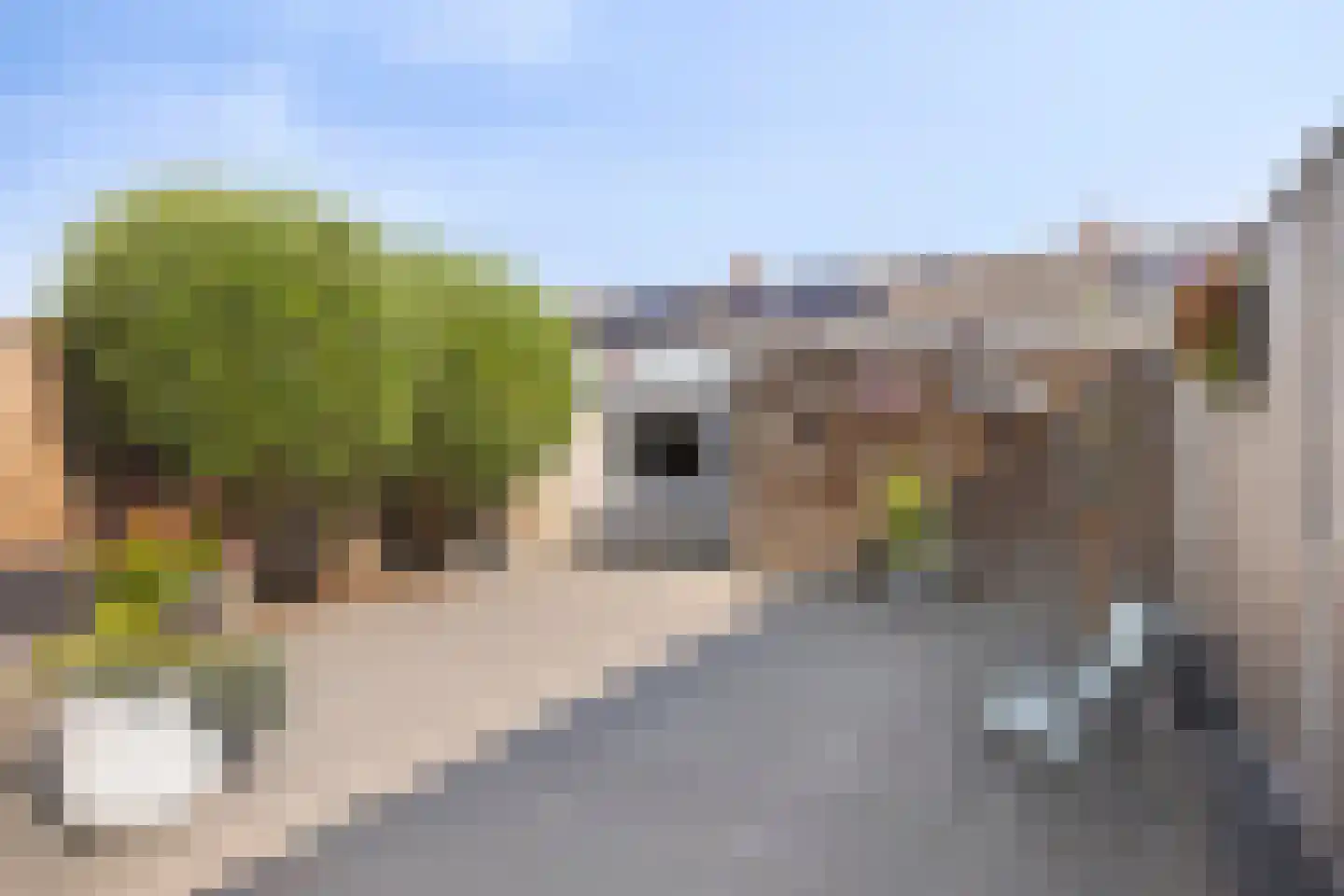 Magnoliastraat 22 Drunen thumbnail 38