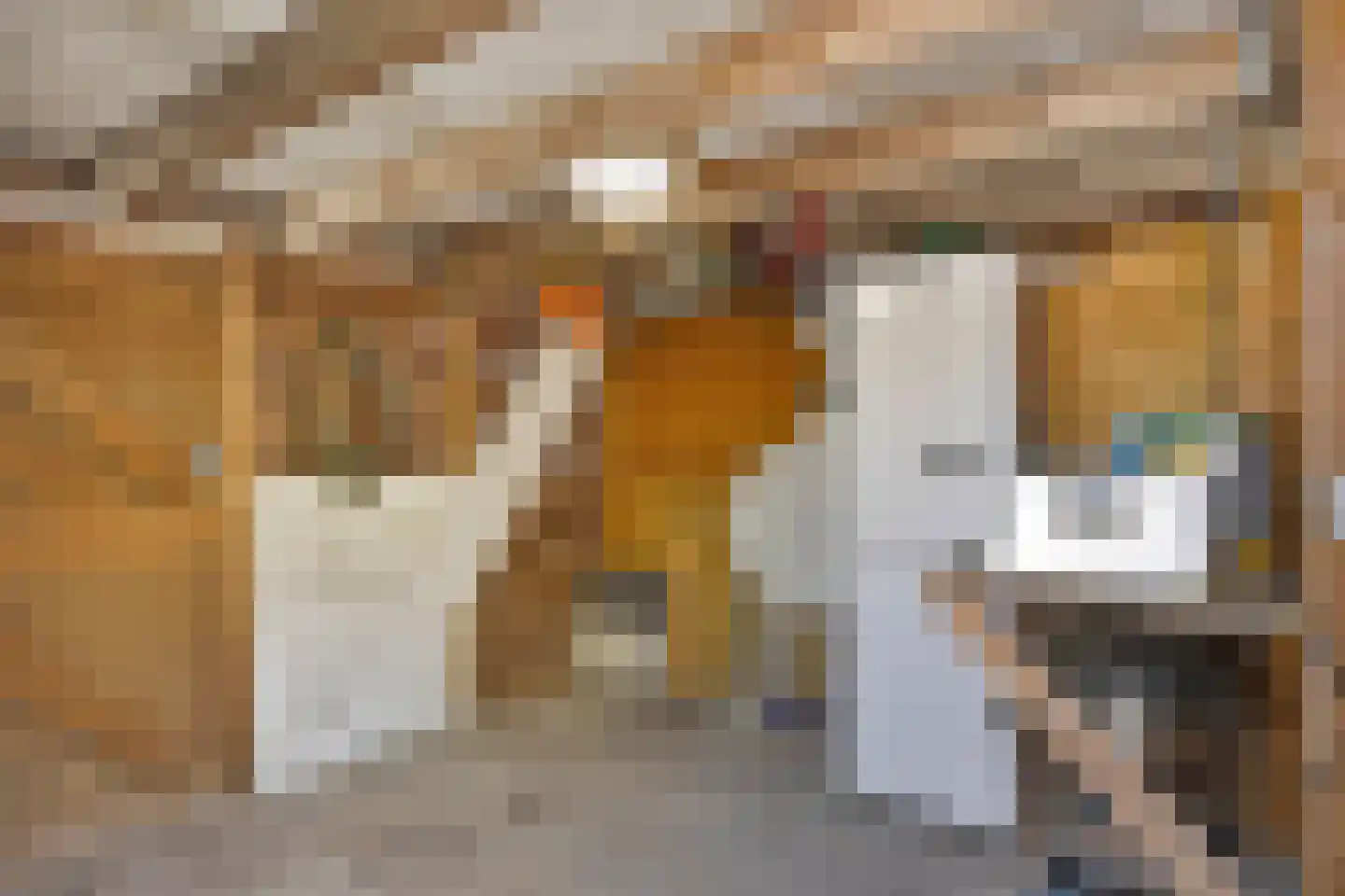 Magnoliastraat 22 Drunen thumbnail 41